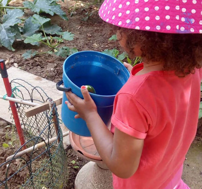 una bambina mentre fa giardinaggio nell'orto in estate