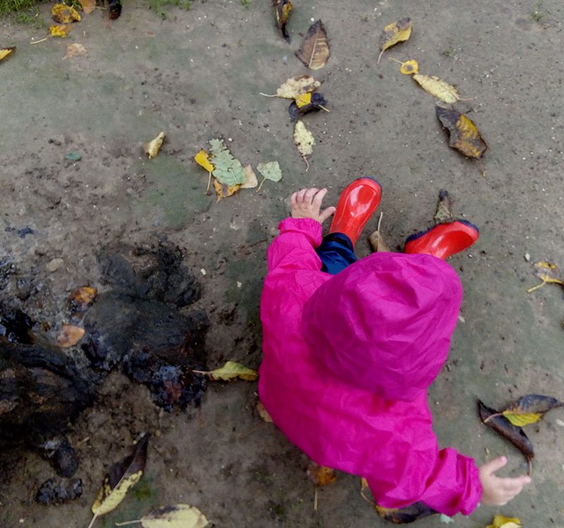 una bambina seduta per terra con le foglie autunnali