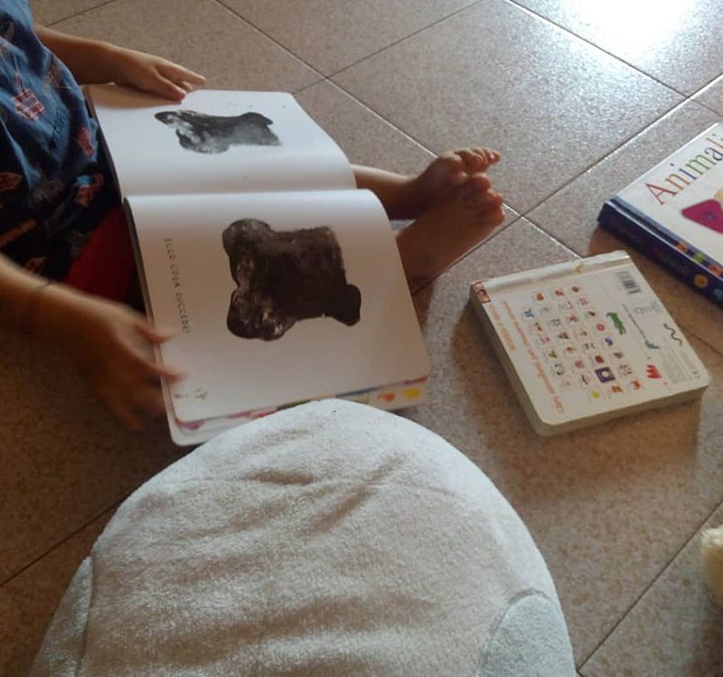 un bambino mentre legge un libro per bambini