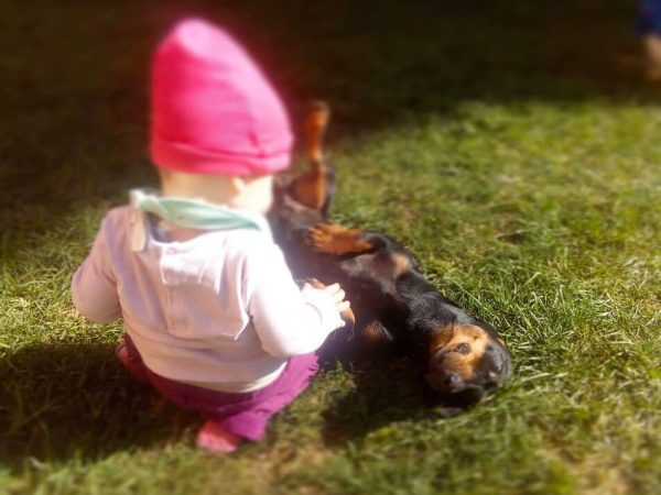 una bambina mentre fa le coccole al cane in giardino
